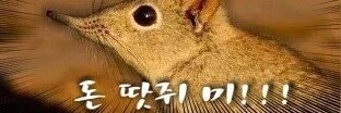 김 호남 banner