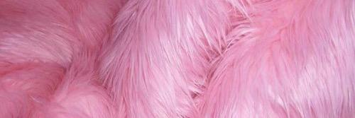 paigefsgdr's profile banner image