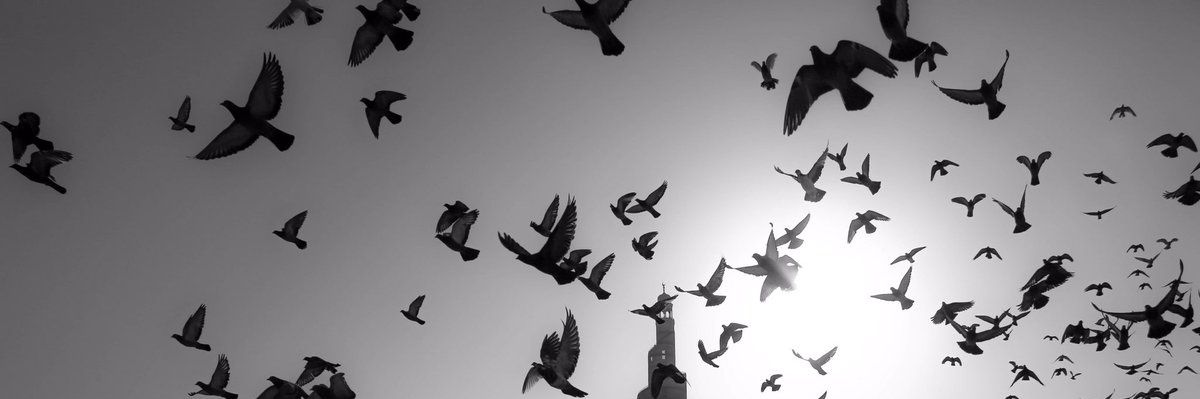 171Turkiah's profile banner image