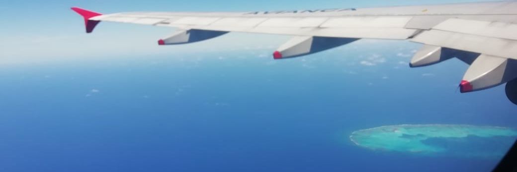 luisafernand23's profile banner image