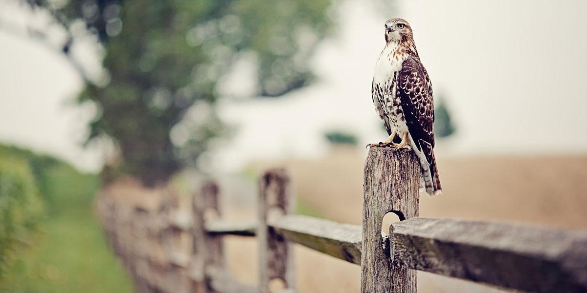 lkosorokin's profile banner image