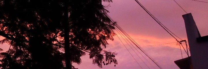 tamaraantunez's profile banner image