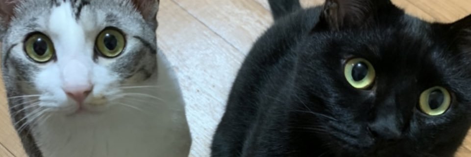 maa_____221's profile banner image