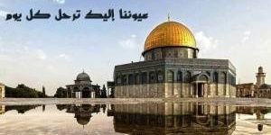 SameerOdeh's profile banner image