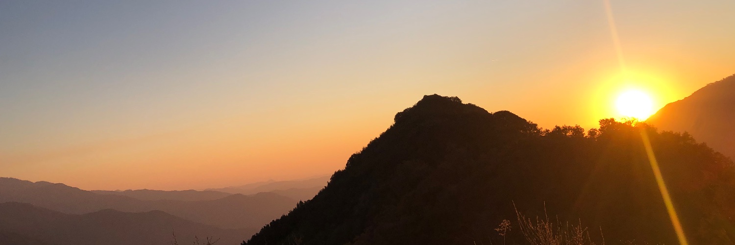 reharvey's profile banner image