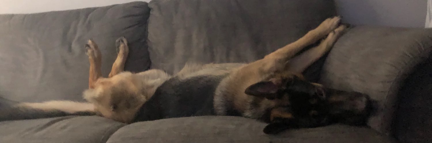 mateoquintaana's profile banner image