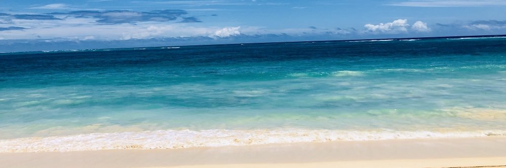 Princess Trockel banner