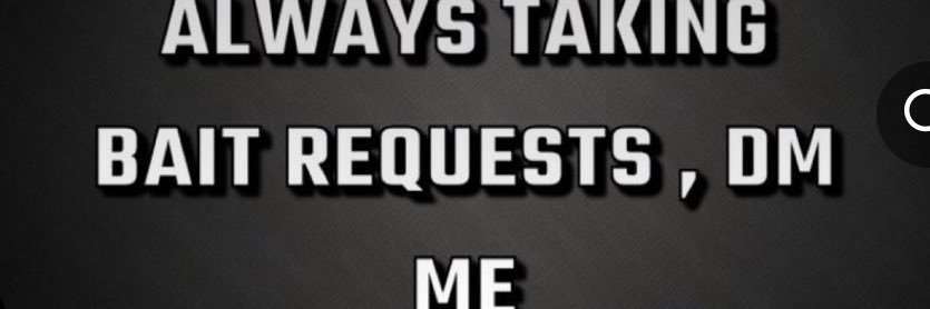 BookBirdee's profile banner image