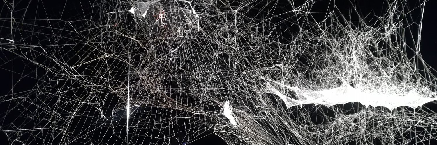 _mel00w_'s profile banner image