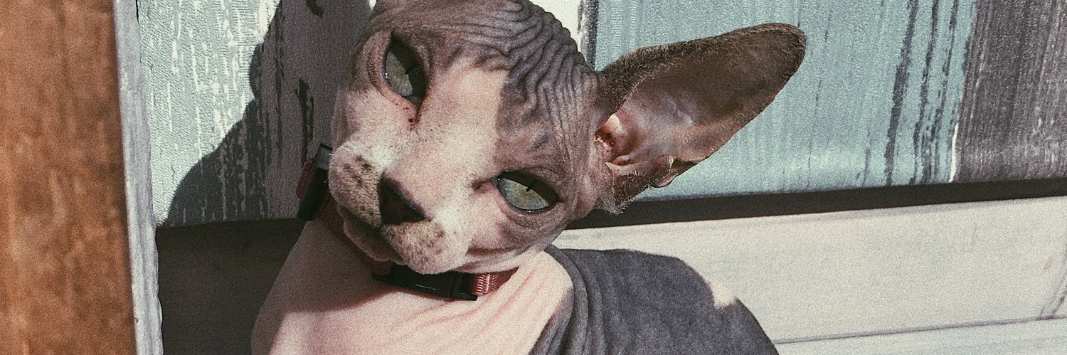 chloemtzs's profile banner image