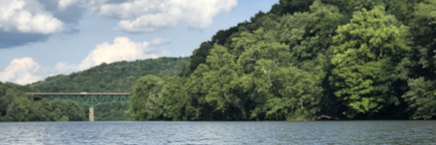 Emily Franssen banner