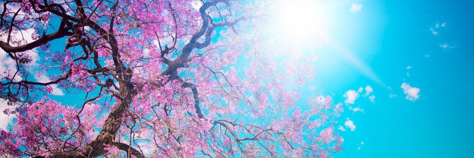 AceDaCreator's profile banner image