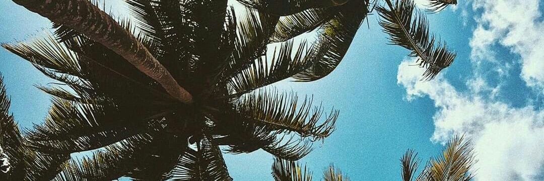 Raynelleonel's profile banner image