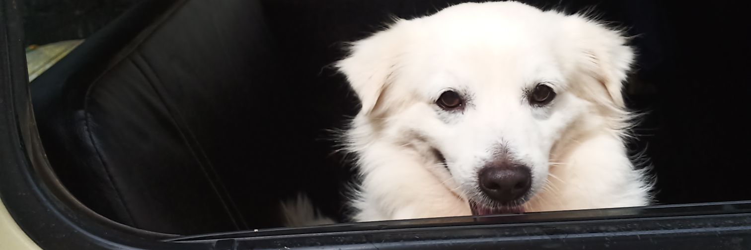Miiigzz's profile banner image