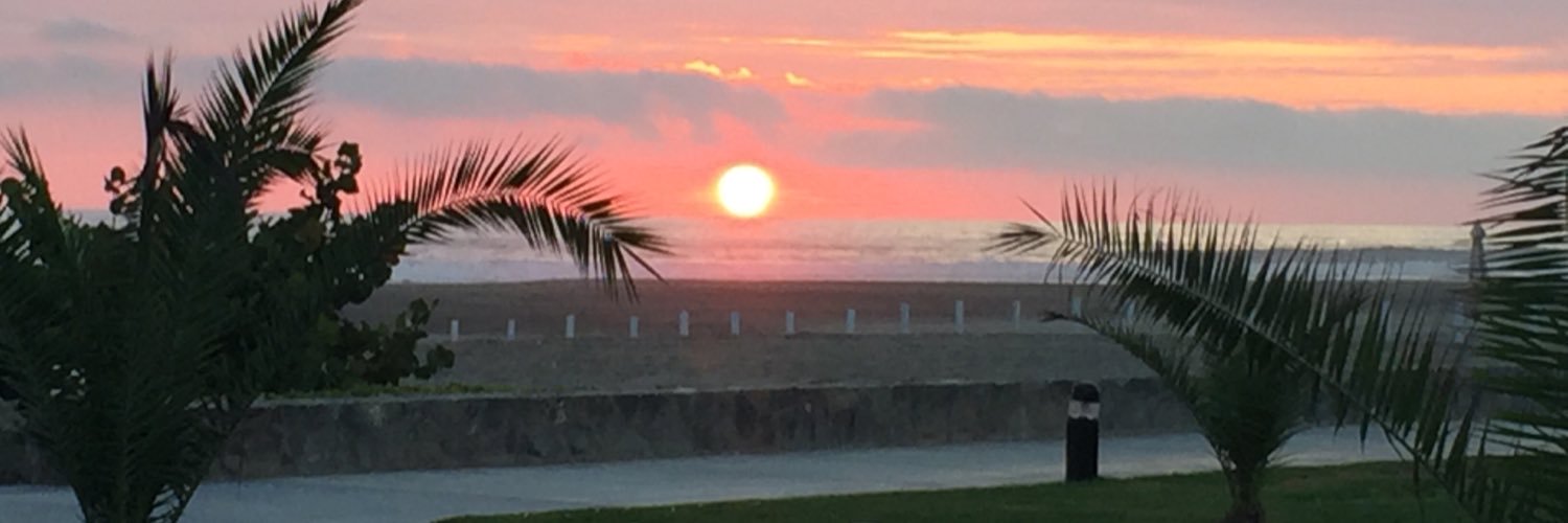 Diego Rengifo banner