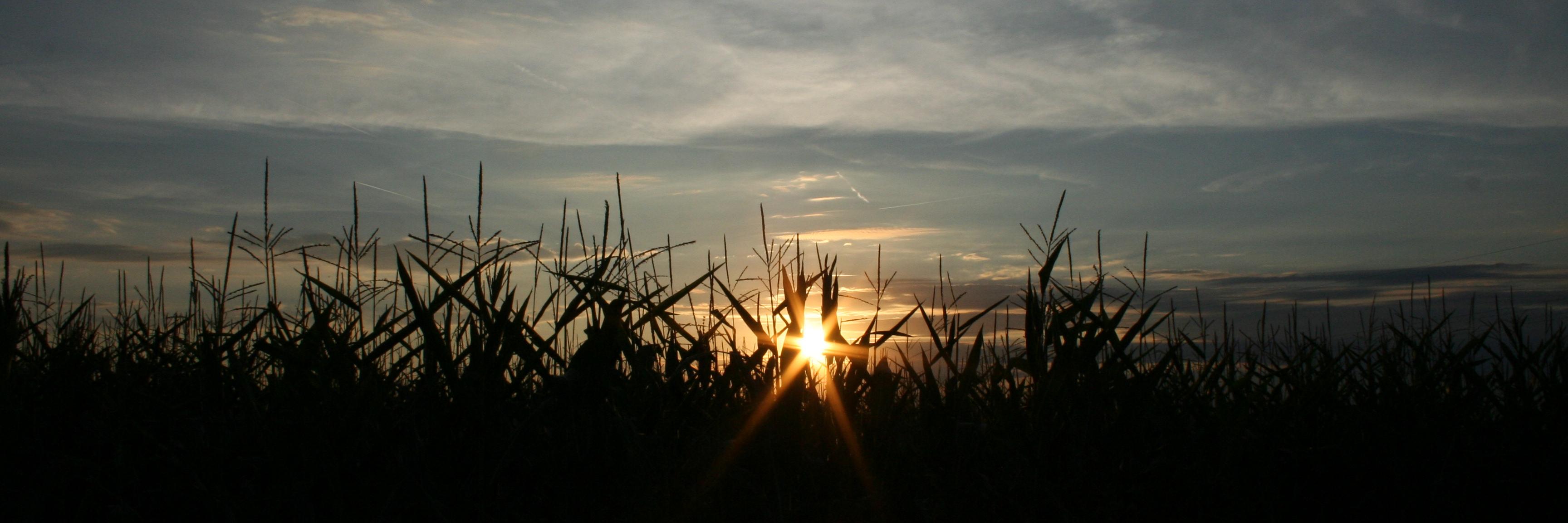Blogideen's profile banner image