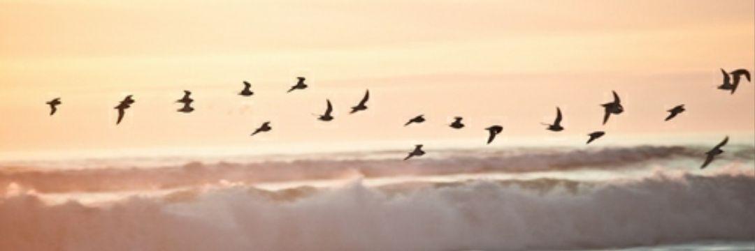 ventalarubia's profile banner image