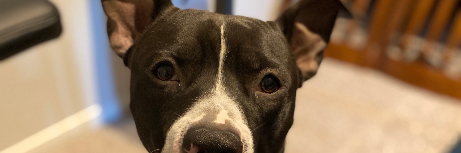 damiandiaz__'s profile banner image