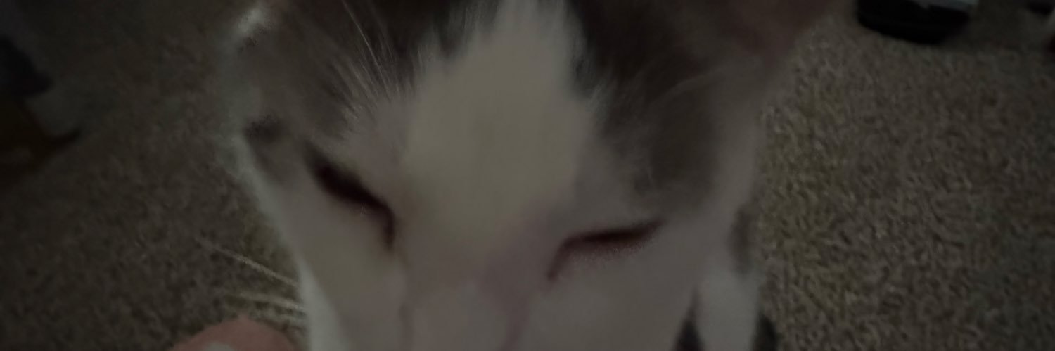 livdvis's profile banner image