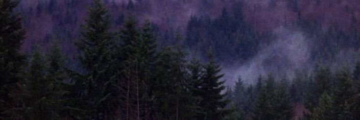 Lisa ☀️ banner
