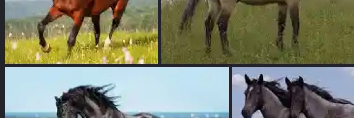 murilo_helloin's profile banner image