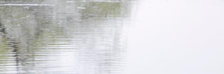 menonama's profile banner image