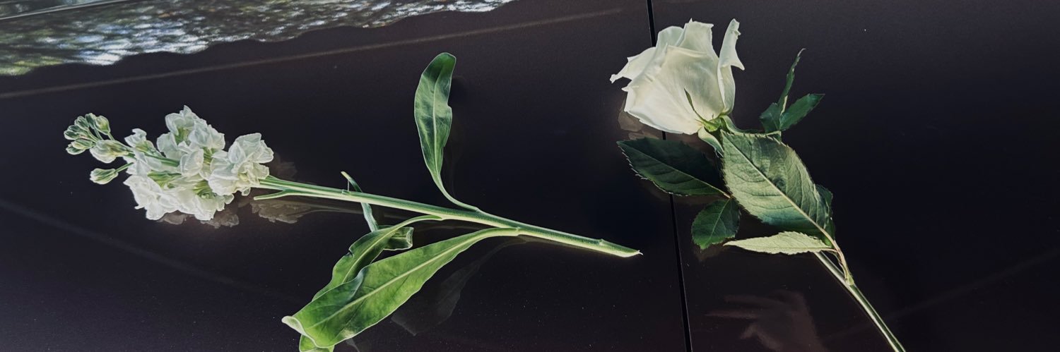 baailleeeyyyyy's profile banner image