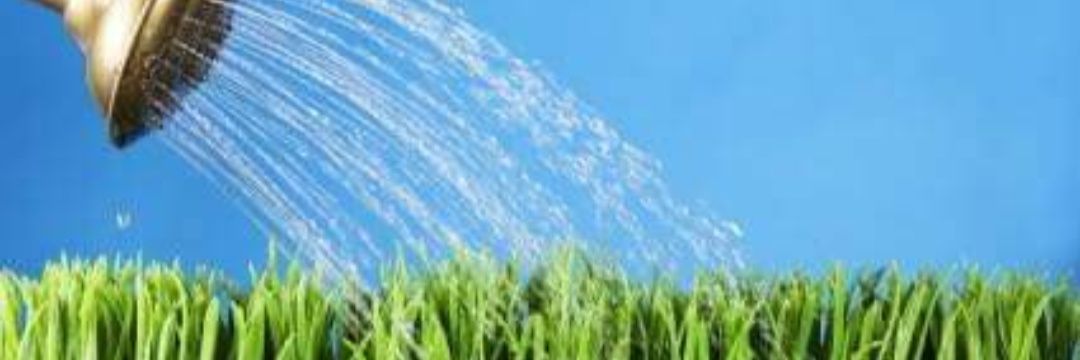 1communityunity banner