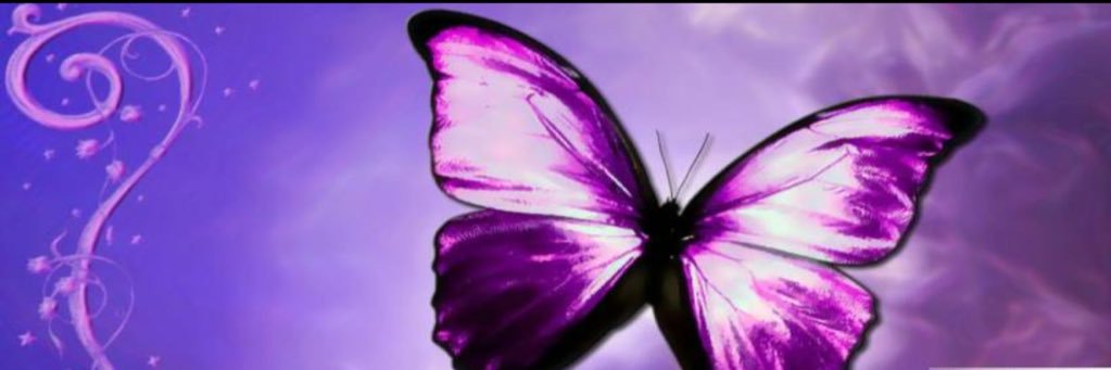 mrspayne6's profile banner image