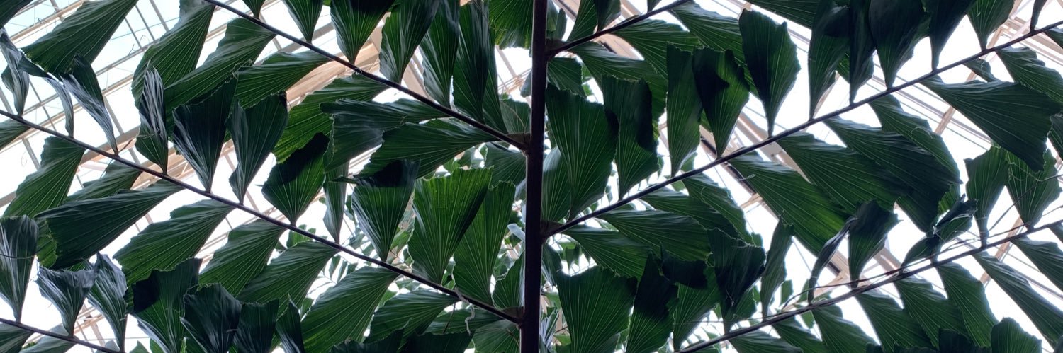 Dr. Erica Brozovsky banner