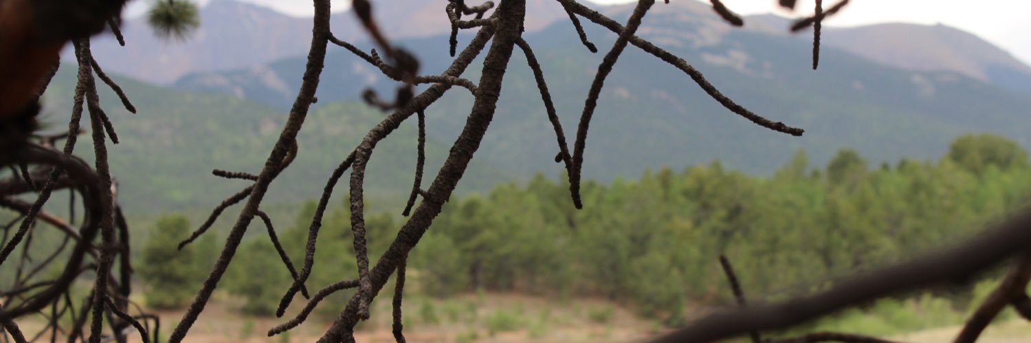 emilynava33's profile banner image