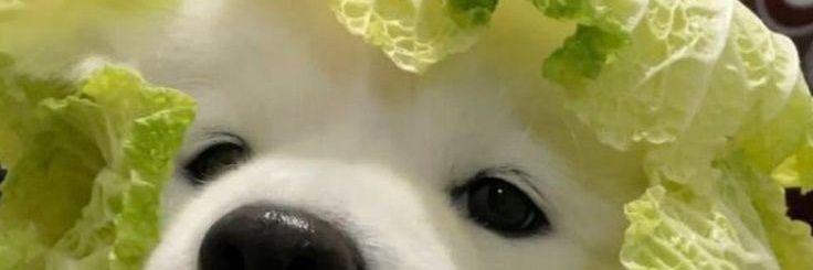 JKWN54's profile banner image