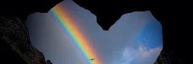 kirschmuller's profile banner image