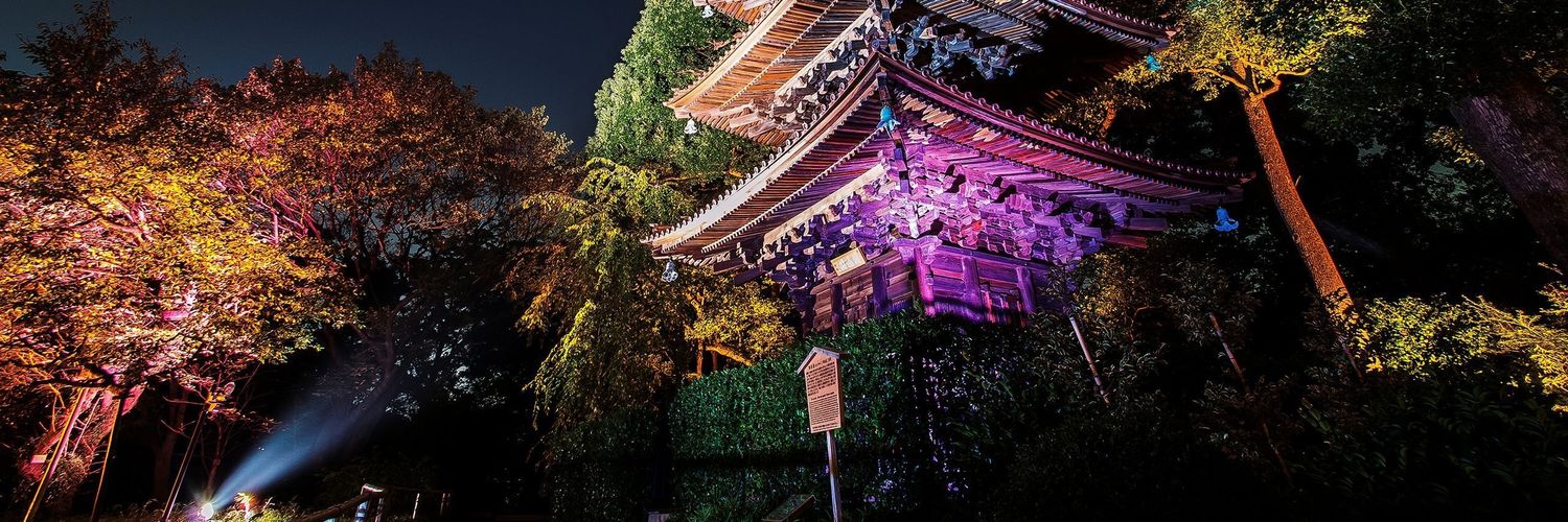 Nicolas 🇷🇪 banner