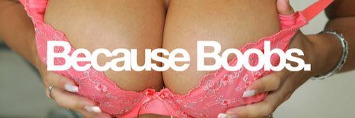 No_Bras_Daily's profile banner image