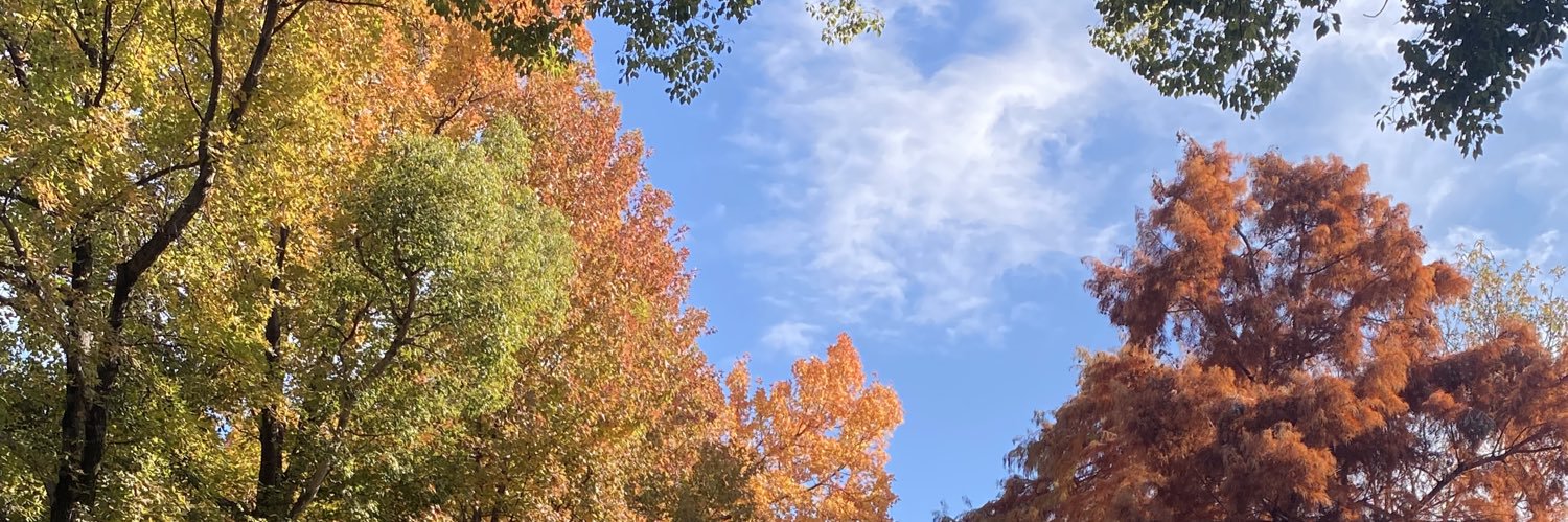 kakoworld's profile banner image