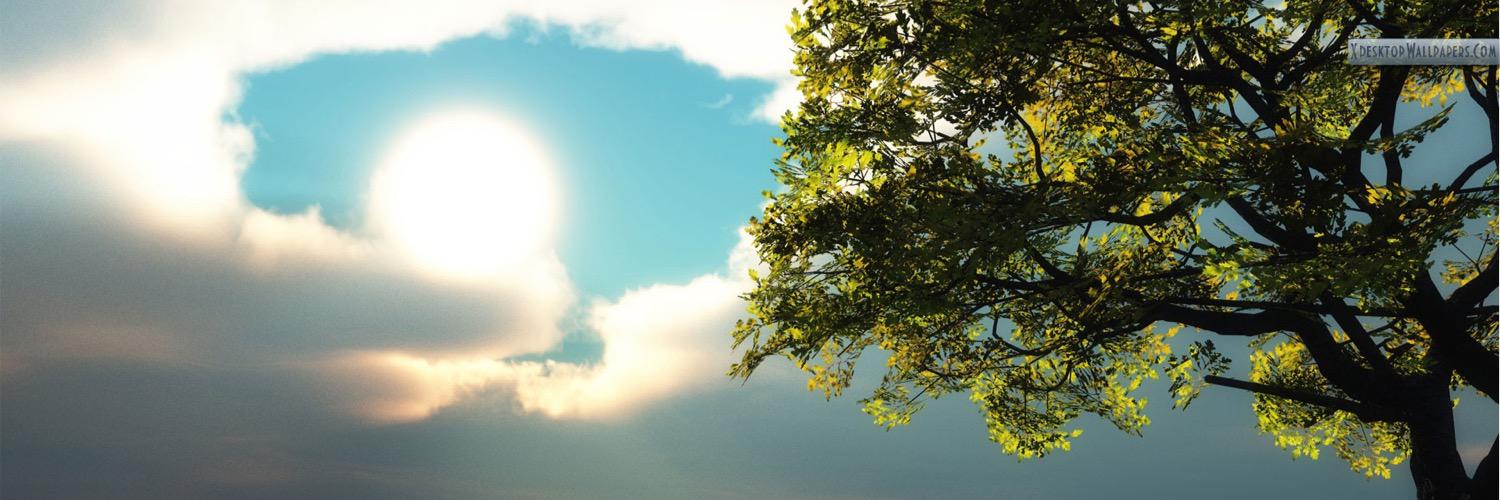 ChrisFlynn686's profile banner image