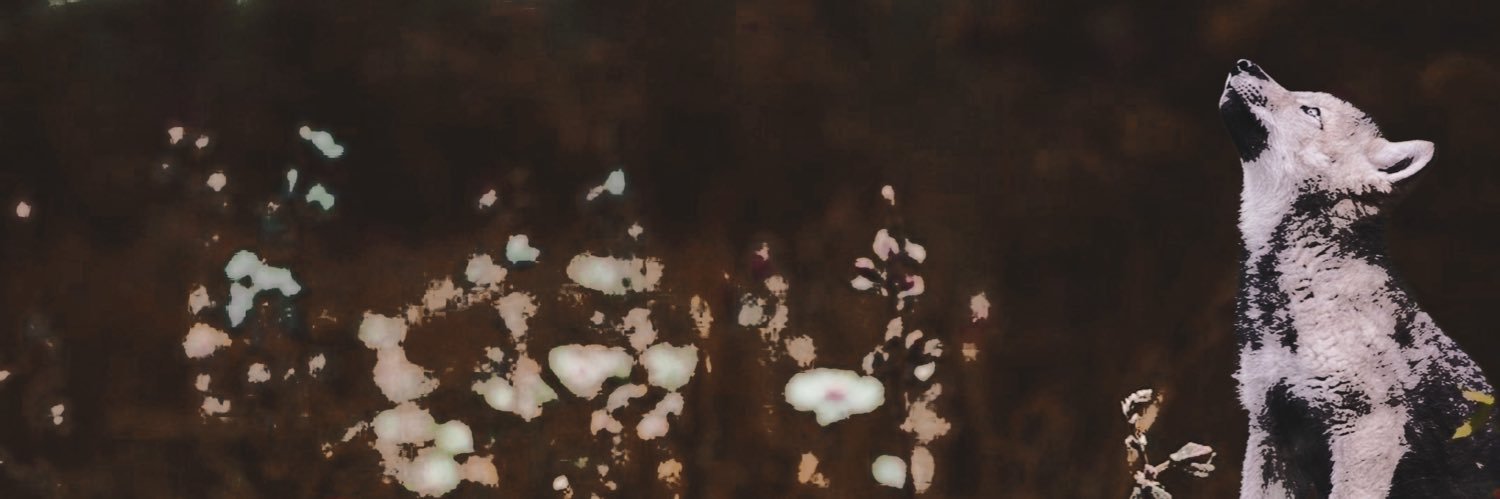 .𖥔 ݁ banner