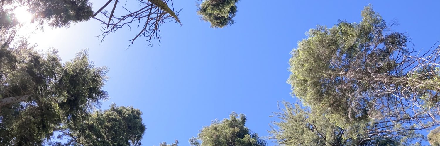 Justramon's profile banner image