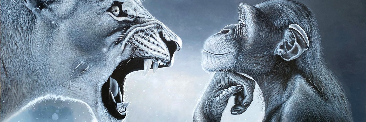 Monkeys banner