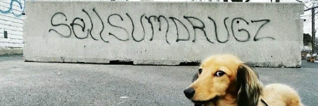 rh3zz's profile banner image