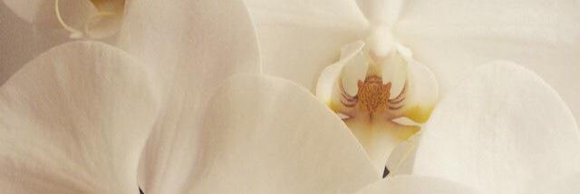 clisabethd's profile banner image