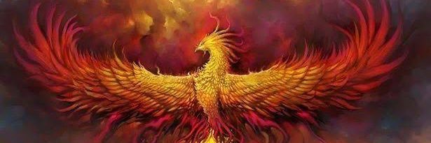 mhndssbeg's profile banner image