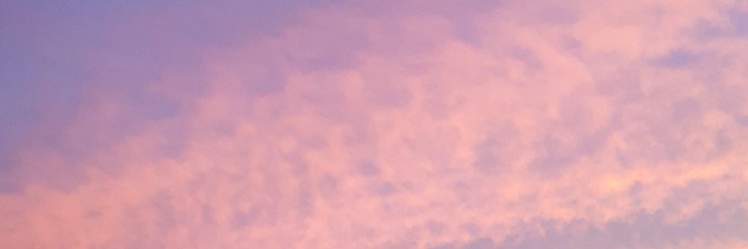 taissantosr's profile banner image