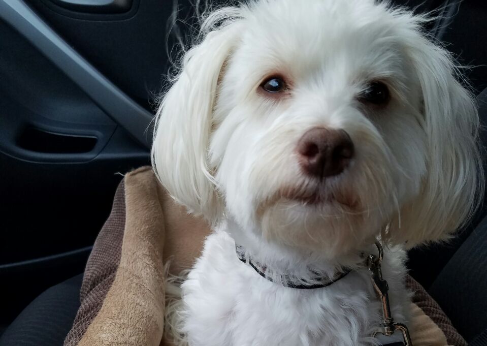 Jeremy Jordan banner