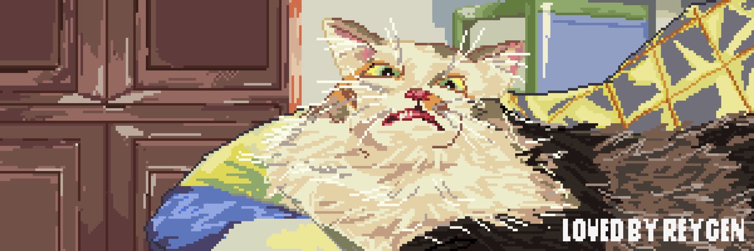 numpangsalt0's profile banner image