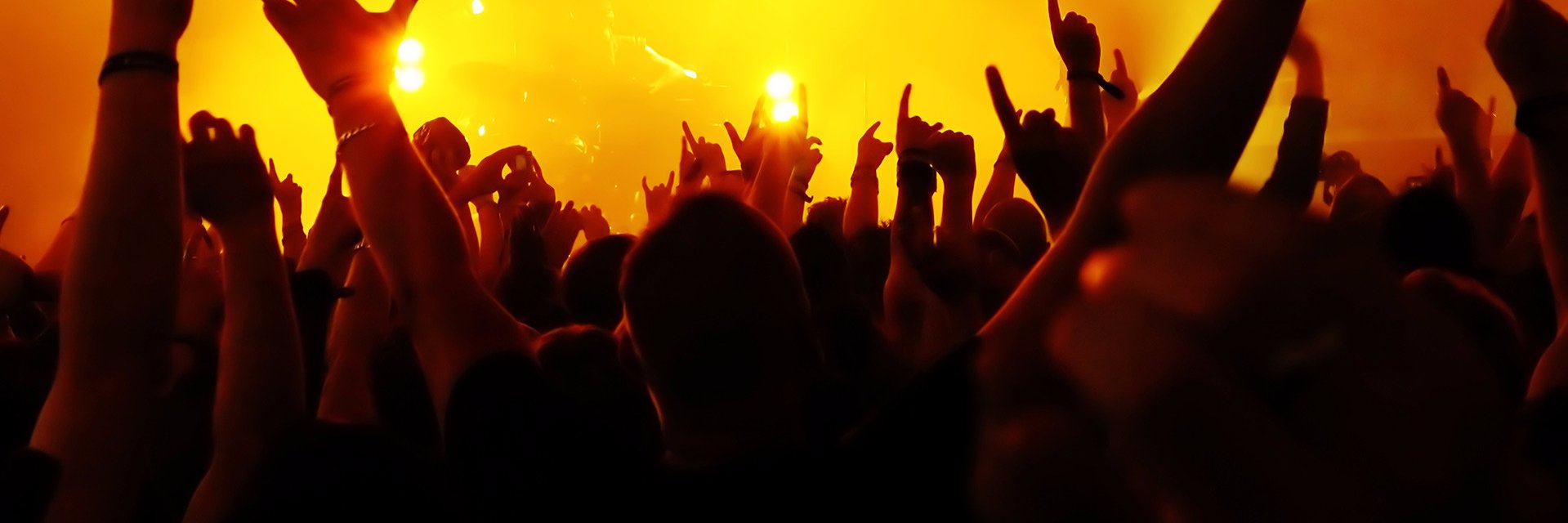MusicalSupply's profile banner image