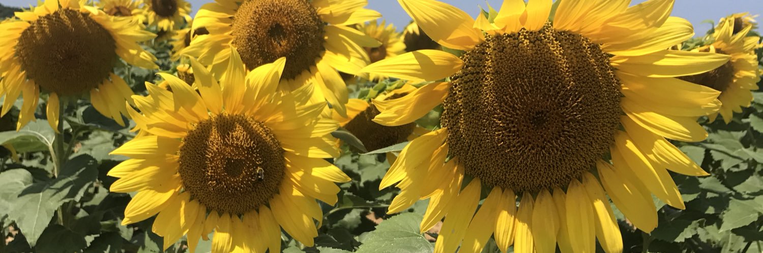 kbub22's profile banner image