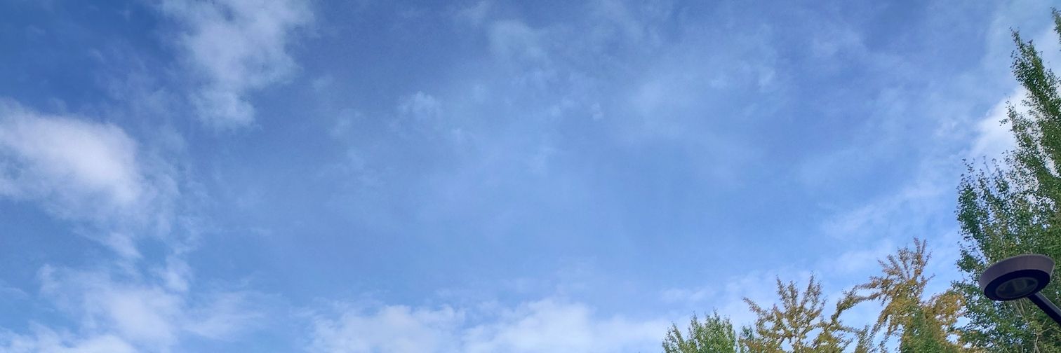 片羽 banner