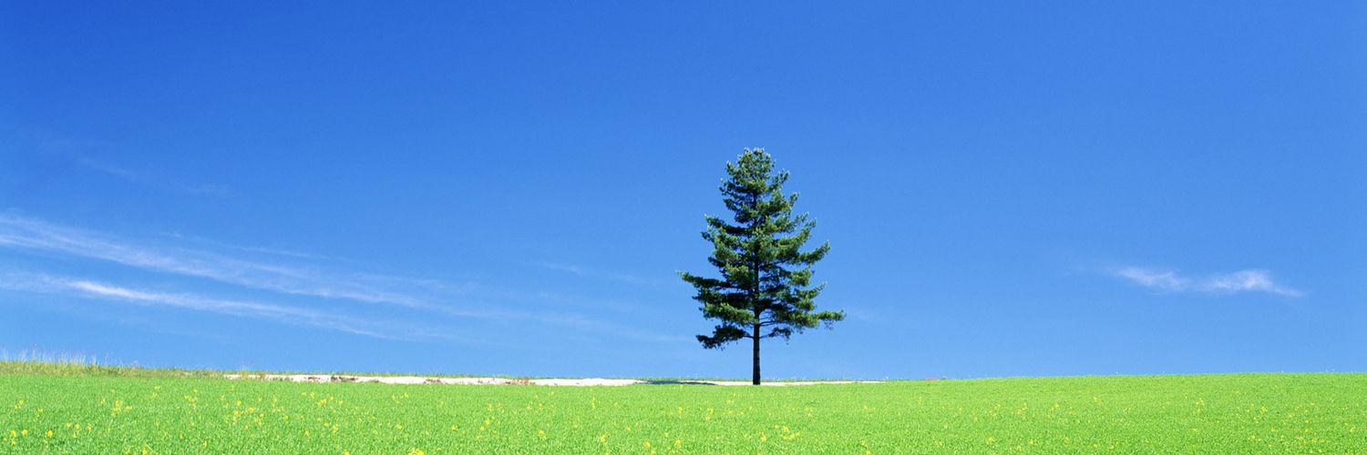 hinative__08's profile banner image